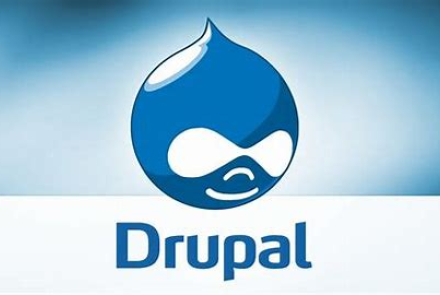 drupal best fit for website